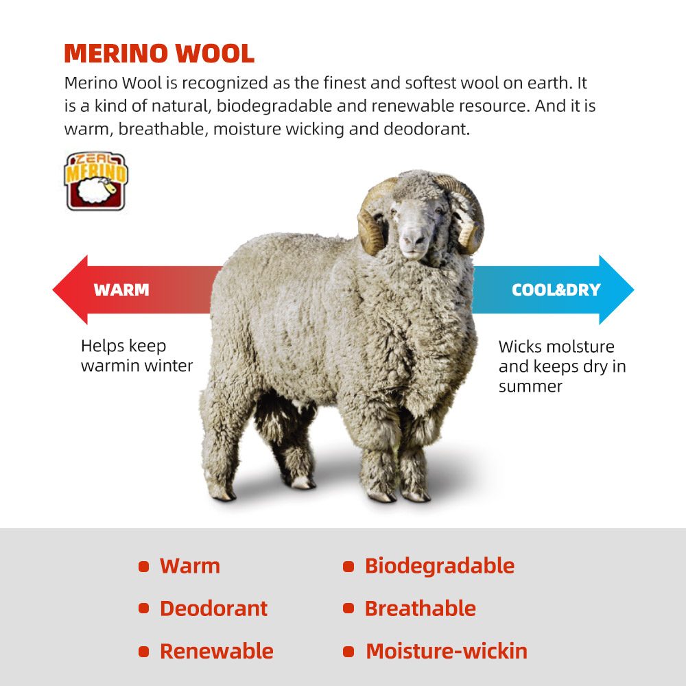 ZEALWOOD Merino Wool Running S - Wool Hiking Sock recensie en prijs